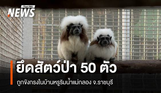 ยึดสัตว์ป่าใกล้สูญพันธุ์กว่า 50 ตัว ซุกบ้านหรูริมน้ำแม่กลอง 