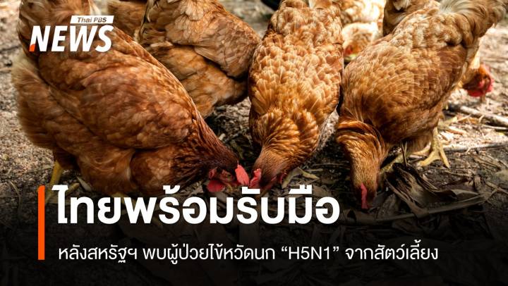 ไทยพร้อมรับมือ! สหรัฐฯ พบผู้ป่วยไข้หวัดนก H5N1 จากสัตว์เลี้ยง