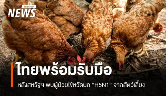 ไทยพร้อมรับมือ! สหรัฐฯ พบผู้ป่วยไข้หวัดนก H5N1 จากสัตว์เลี้ยง