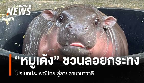 เปิดตัว "หมูเด้ง" พรีเซนเตอร์โปรโมท "ลอยกระทง" ประเพณีไทย 