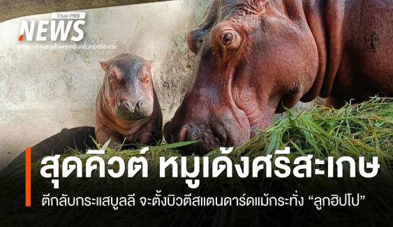 ตีกลับกระแสบูลลี แห่ชมความน่ารักลูกฮิปโป "หมูเด้งศรีสะเกษ" 