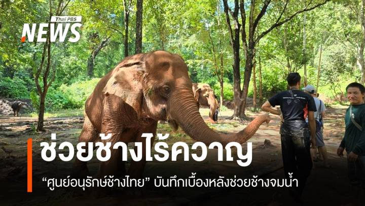 เปิดเบื้องหลัง “ศูนย์อนุรักษ์ช้างไทย” ในวันที่ต้อง “ช่วยช้าง” ไร้ควาญ