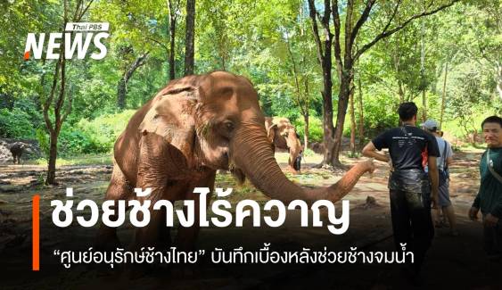 เปิดเบื้องหลัง “ศูนย์อนุรักษ์ช้างไทย” ในวันที่ต้อง “ช่วยช้าง” ไร้ควาญ