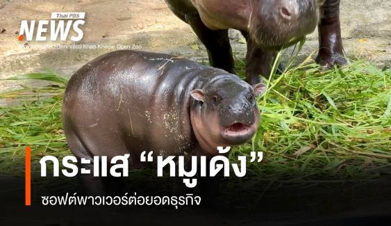 กระแส "หมูเด้ง" ซอฟต์พาวเวอร์ต่อยอดธุรกิจ