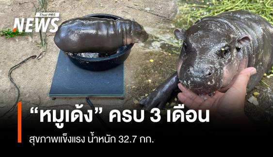  "ฮิปโปหมูเด้ง" ครบ 3 เดือนสุขภาพแข็งแรงหนัก 32.7 กก.