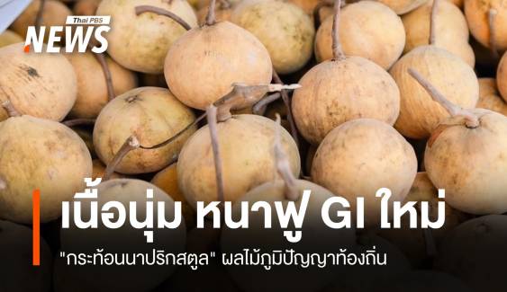 เนื้อนุ่ม หนาฟู "กระท้อนนาปริกสตูล" Soft Power ผลไม้ไทย 