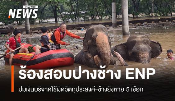 ร้องกมธ.ปมช้าง ENP จมน้ำตายยังหาย 5 เชือก กังขาเงินบริจาค 