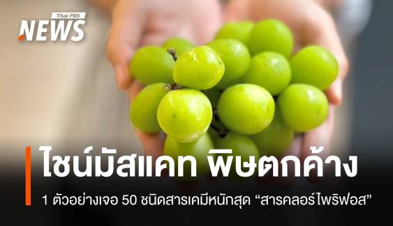 องุ่นไชน์มัสแคทพบ "คลอร์ไพริฟอส" บางตัวอย่าง 50 พิษตกค้าง 