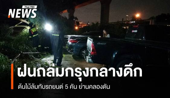 ฝนถล่มกรุงกลางดึก ต้นไม้ล้มทับรถยนต์ 5 คัน ย่านคลองตัน 