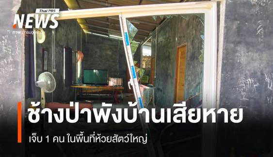 ช้างป่าแก่งกระจาน พังบ้านเสียหาย-เจ็บ 1 คน