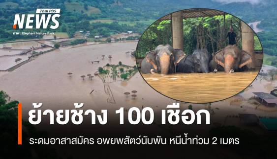 น้ำป่าทะลักอพยพช้าง 100 เชือก สัตว์ป่วยนับพันหนีน้ำสูง 2 เมตร