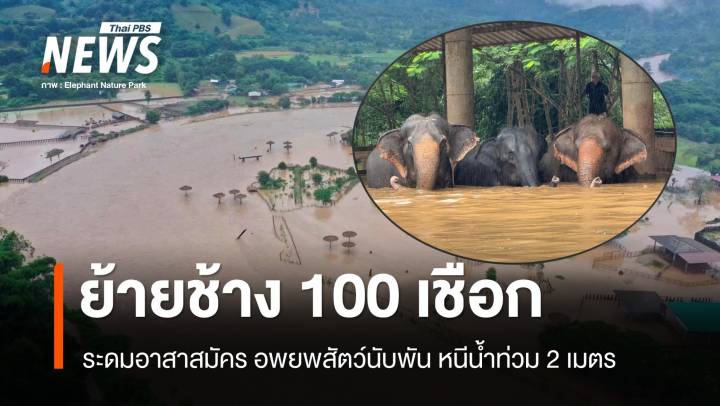 น้ำป่าทะลักอพยพช้าง 100 เชือก สัตว์ป่วยนับพันหนีน้ำสูง 2 เมตร