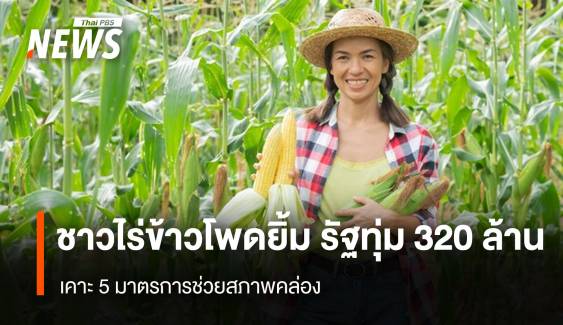 ชาวไร่ข้าวโพดยิ้ม รัฐทุ่ม 320 ล้าน เคาะ 5 มาตรการช่วยสภาพคล่อง