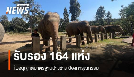 164 ปางช้างตื่นตัวยื่นขอใบอนุญาตรับรองมาตรฐาน