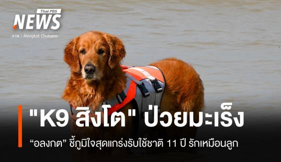 "K9 สิงโต" ป่วยมะเร็งตาย หมาสุดแกร่ง-ใจดีรับใช้ชาติ 11 ปี