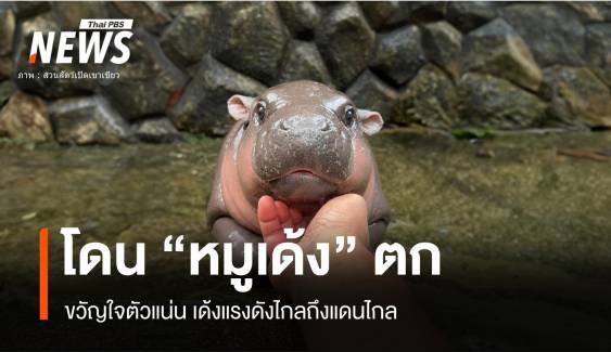 ต้านไม่ไหวซุปตาร์ "หมูเด้ง" ฮิปโปแคระเขาเขียว 