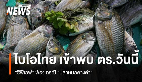 วันนี้ "ไบโอไทย" เข้าพบ ตร.คดี "CPF" ฟ้องกรณีปลาหมอคางดำ 