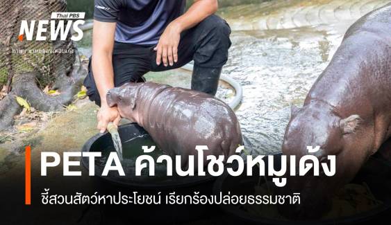 PETA  เรียกร้อง "หมูเด้ง" ฮิปโปแคระคืนป่า-อ้างโชว์หาประโยชน์