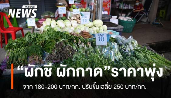 น้ำท่วม ผักแพงทำ "ผักชี-ผักกาดลุ้ย" ราคาพุ่ง 250 บาท/กก.  