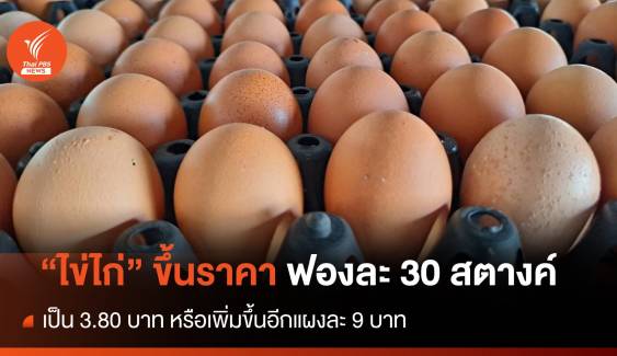 วันนี้ "ไข่ไก่" ปรับขึ้นราคาฟองละ 30 สตางค์ หรือขึ้นแผงละ 9 บาท