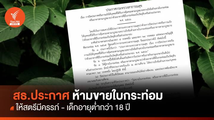 สธ.ห้ามขาย "ใบกระท่อม" ให้สตรีมีครรภ์ -เด็กต่ำกว่า 18 ปี