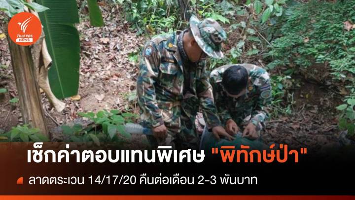 ไฟเขียวค่าตอบแทนพิเศษ "พิทักษ์ป่า" เดินลาดตระเวน 2-3 พันบาท