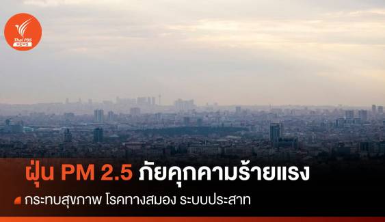 ฝุ่น PM 2.5 ภัยร้ายต่อสมอง-ระบบประสาท