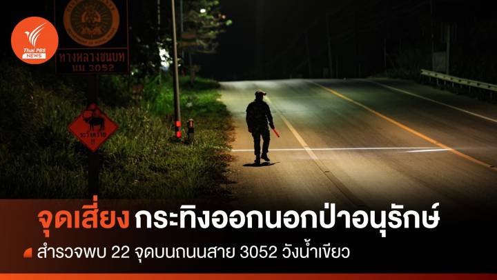 พบ 22 จุดเสี่ยง "กระทิง" ออกนอกป่าวังน้ำเขียว 3 ปีอุบัติเหตุ 11 ครั้ง 