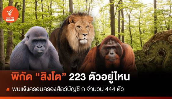 พิกัด "สิงโต" ทั่วไทย 223 ตัว แจ้งครอบครอง 8 สัตว์ดุร้าย 444 ตัว  