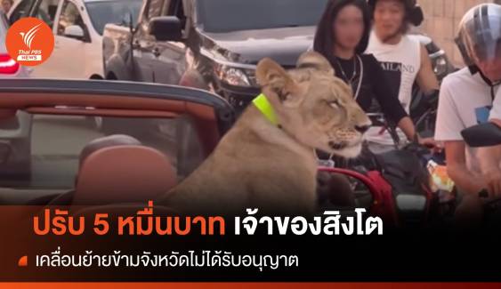 รู้ตัวเจ้าของ "สิงโตนั่งรถหรู" ปรับ 50,000 บาท 