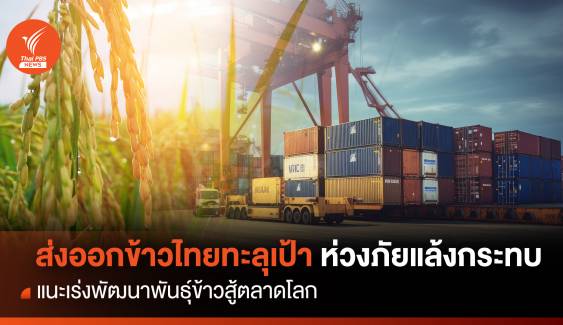 ส่งออกข้าวไทยทะลุเป้า ห่วงภัยแล้งกระทบ แนะเร่งพัฒนาพันธุ์ข้าวสู้ตลาดโลก