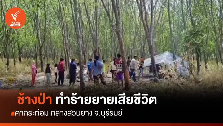 ช้างป่าทำร้ายยายวัย 70 ปี เสียชีวิตคากระท่อม