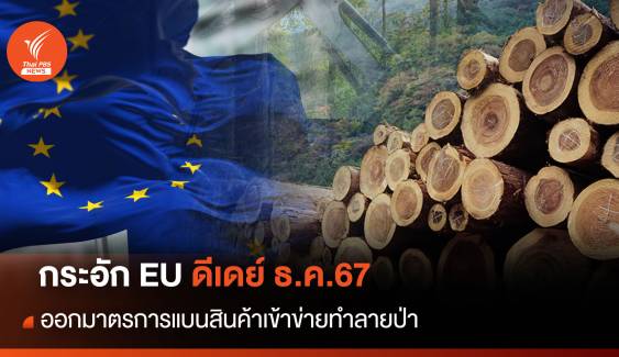 กระอัก EU ดีเดย์ ธ.ค.67 ออกมาตรการแบนสินค้าเข้าข่ายทำลายป่า 