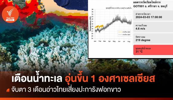 ทะเลอ่าวไทยอุ่นขึ้น 1 องศาฯ จับตา 3 เดือนเสี่ยงปะการังฟอกขาว