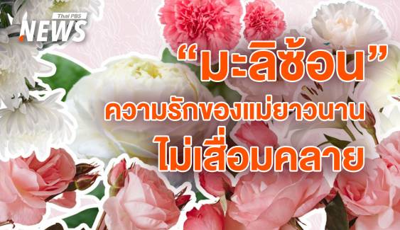 ที่มาที่ไป "ดอกมะลิ" สัญลักษณ์สื่อแทนความรัก - ความกตัญญู วันแม่