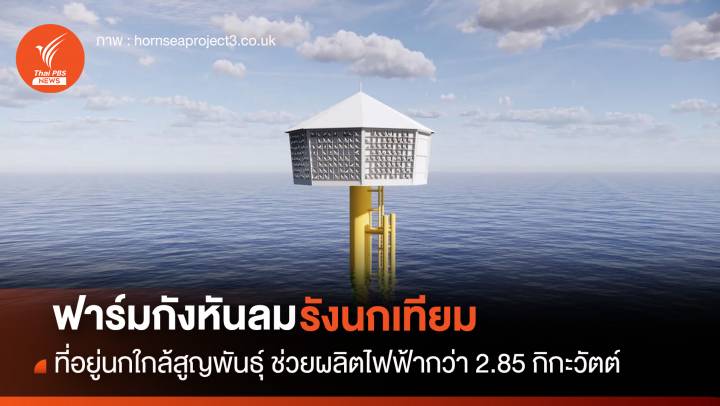 ฟาร์มกังหันลมรังนกเทียม ที่อยู่ของนกใกล้สูญพันธุ์ ช่วยผลิตพลังงานไฟฟ้า