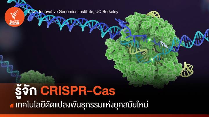 รู้จัก CRISPR-Cas เทคโนโลยีดัดแปลงพันธุกรรม