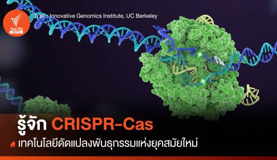 รู้จัก CRISPR-Cas เทคโนโลยีดัดแปลงพันธุกรรม