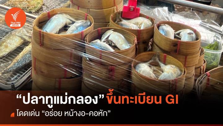“ปลาทูแม่กลอง” ขึ้นทะเบียน GI โดดเด่น "อร่อย หน้างอ-คอหัก"