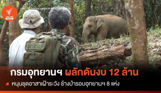 กรมอุทยานฯ เตรียมดันงบ 12 ล้านบาท หนุนชุดอาสาเฝ้าฯ ช้างป่ารอบอุทยาน 8 แห่ง 