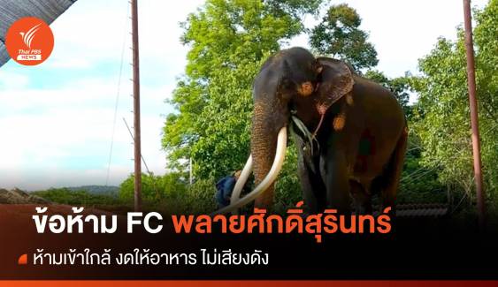 เปิดข้อห้าม! FC เยี่ยม "พลายศักดิ์สุรินทร์" ห้ามใกล้รั้ว-ห้ามให้อาหาร-เสียงดัง 