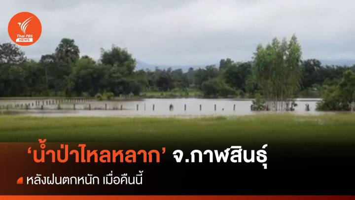 "ฝนตกหนัก- น้ำป่าไหลหลาก" ท่วมหลายพื้นที่ จ.กาฬสินธุ์