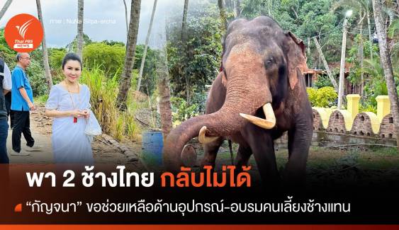 เกินความสามารถ "กัญจนา" โพสต์นำ "2 ช้างไทย" กลับไม่ได้ 