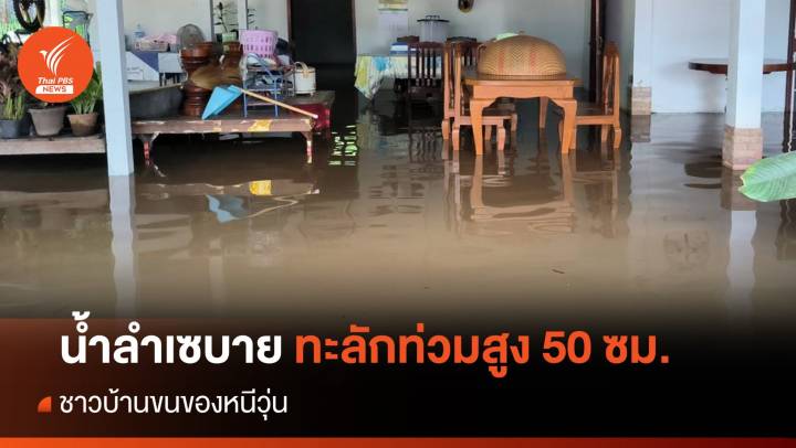 น้ำลำเซบาย จ.ยโสธร ทะลักท่วมสูง 50 ซม. ชาวบ้านขนของหนีวุ่น