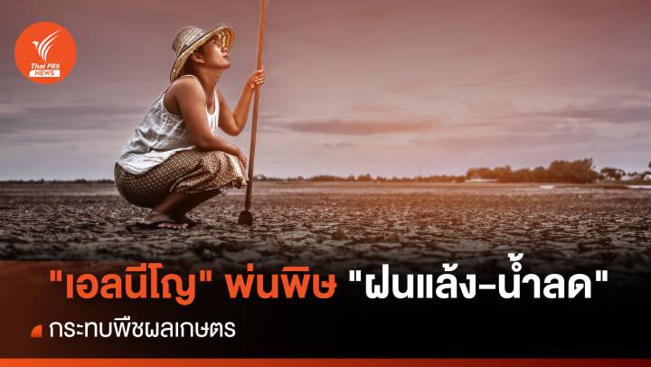  "เอลนีโญ" พ่นพิษ  "ฝนแล้ง-น้ำลด " กระทบพืชผลเกษตร