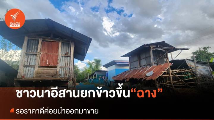 ชาวนาเก็บข้าวขึ้นยุ้งฉาง หวังรอไว้ขายช่วงราคาดี
