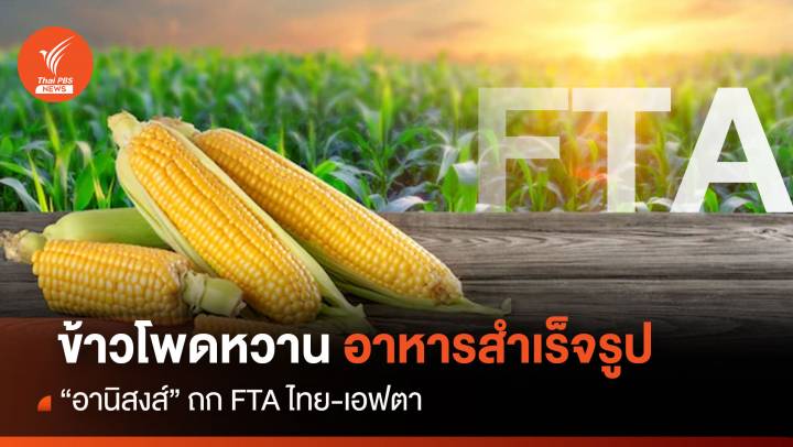 ข้าวโพดหวาน อาหารสำเร็จรูป "อานิสงส์ " ถก FTA ไทย-เอฟตา