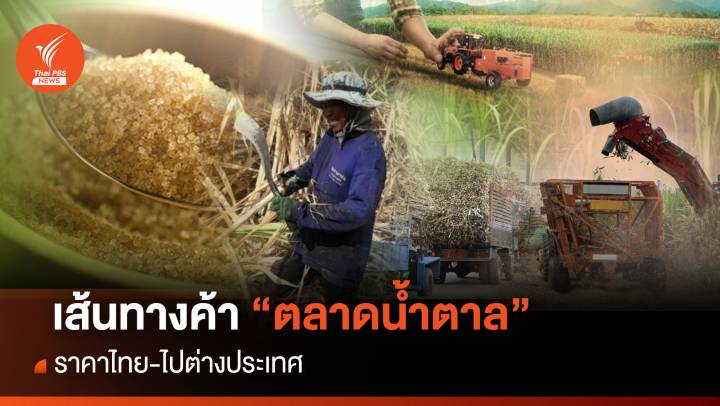 เส้นทางค้า “ตลาดน้ำตาล” ราคาไทย-ไปต่างประเทศ