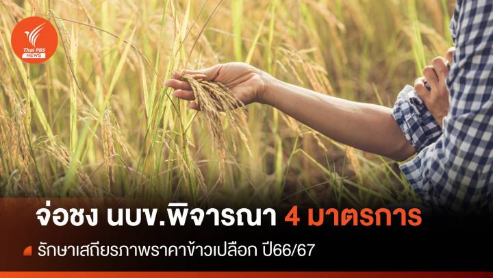 เตรียมชง นบข.พิจารณา 4 มาตรการรักษาเสถียรภาพราคาข้าวเปลือก ปี66/67