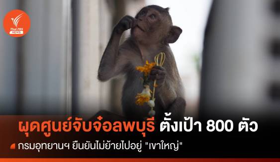ผุดศูนย์จับลิงลพบุรีตั้งเป้า 800 ตัว ยันไม่ย้ายไป "เขาใหญ่"